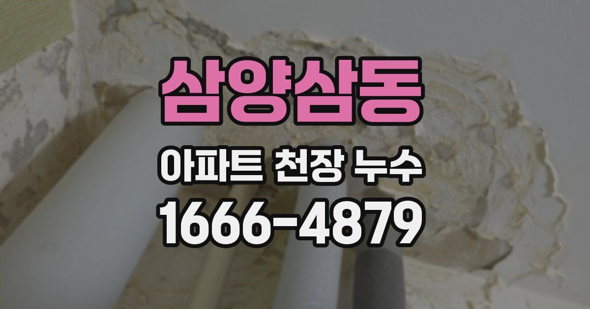 삼양삼동 아파트 천장 누수