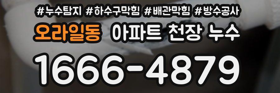 오라일동 아파트 천장 누수