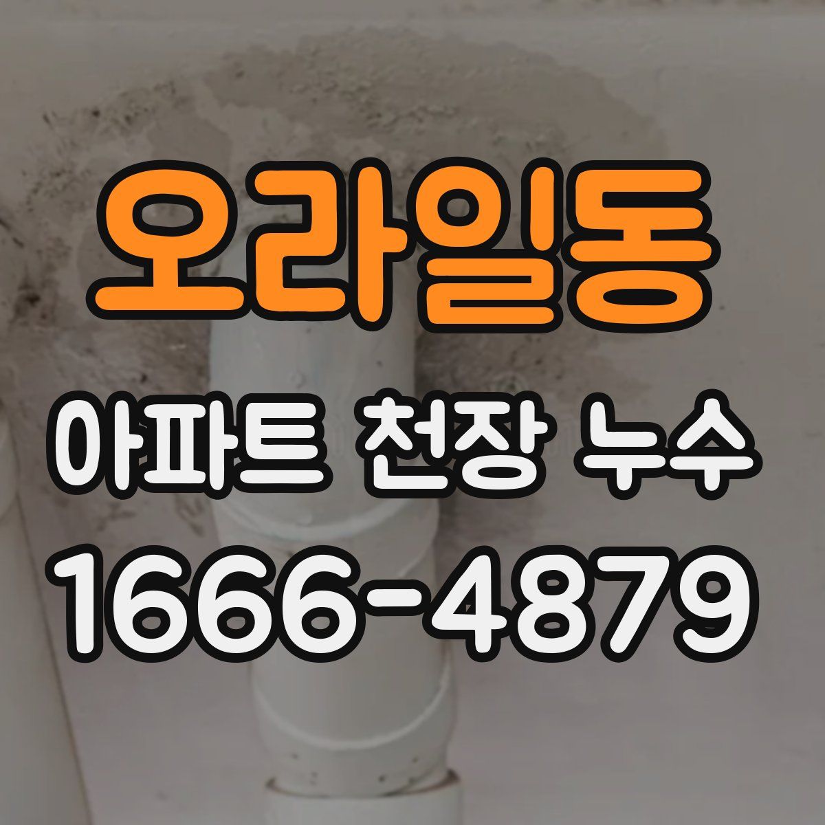 오라일동 아파트 천장 누수