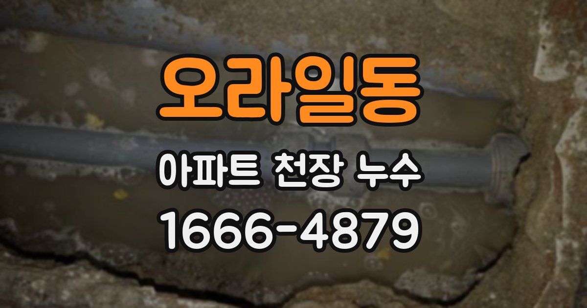 오라일동 아파트 천장 누수