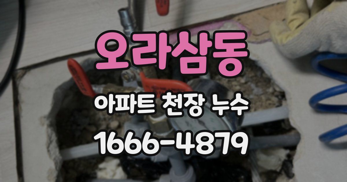 오라삼동 아파트 천장 누수