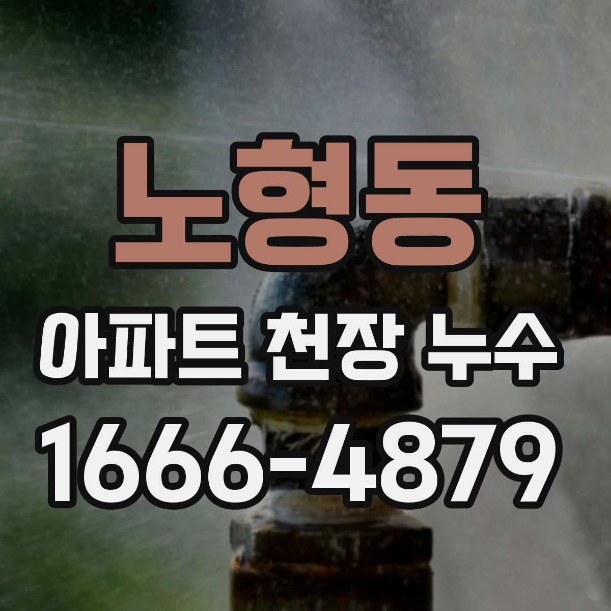 노형동 아파트 천장 누수