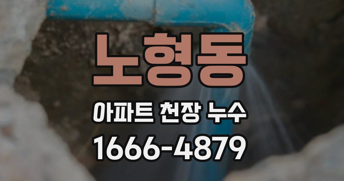 노형동 아파트 천장 누수