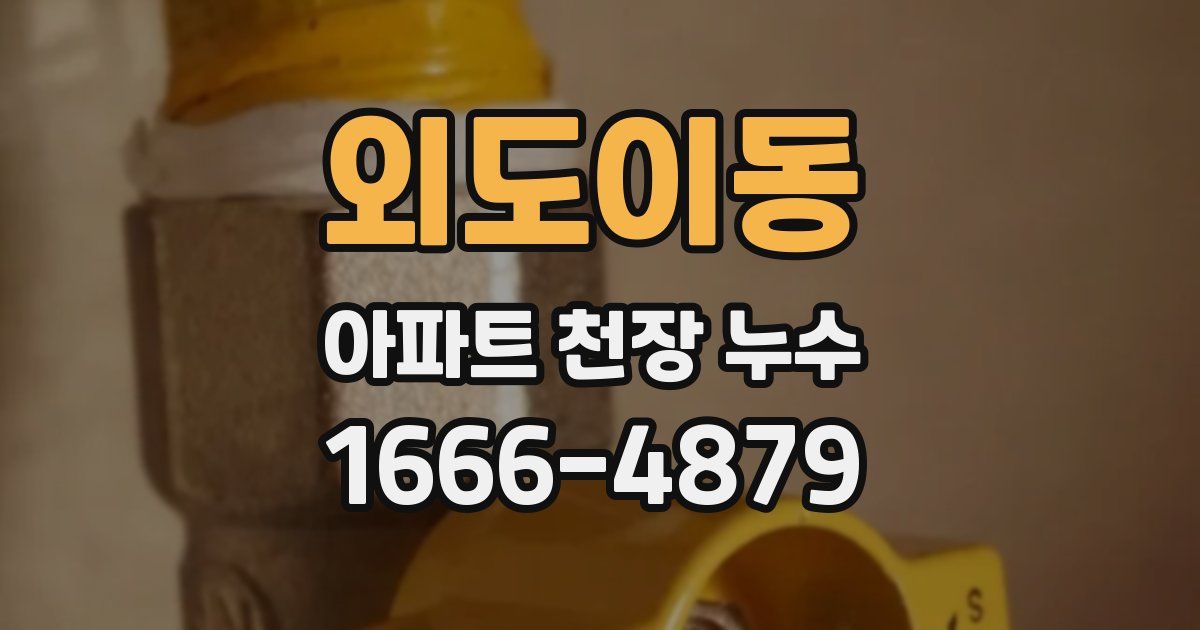 외도이동 아파트 천장 누수