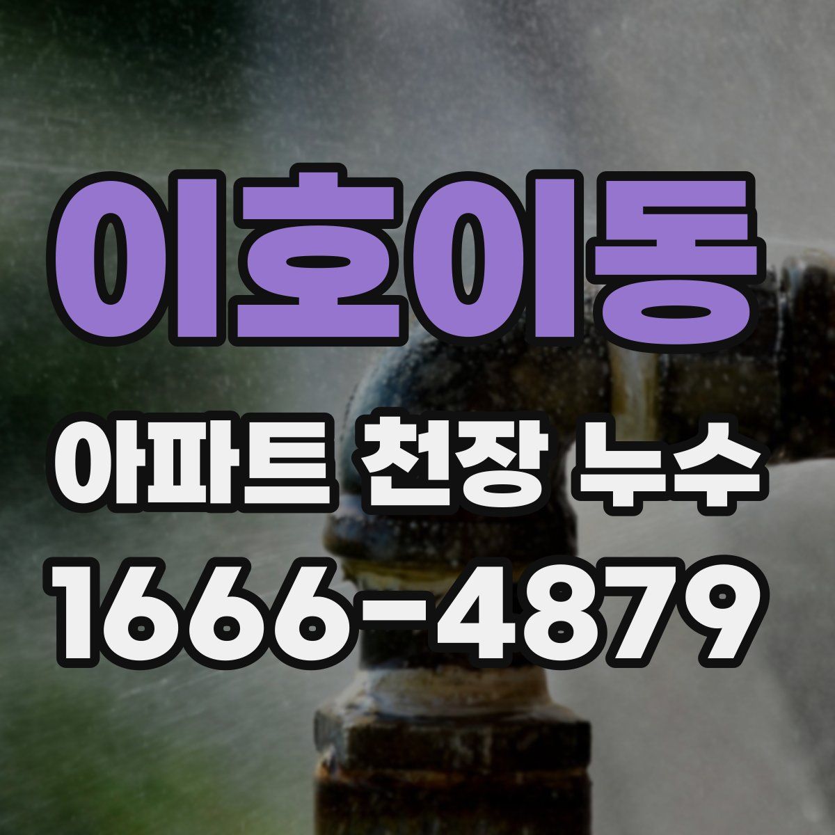 이호이동 아파트 천장 누수