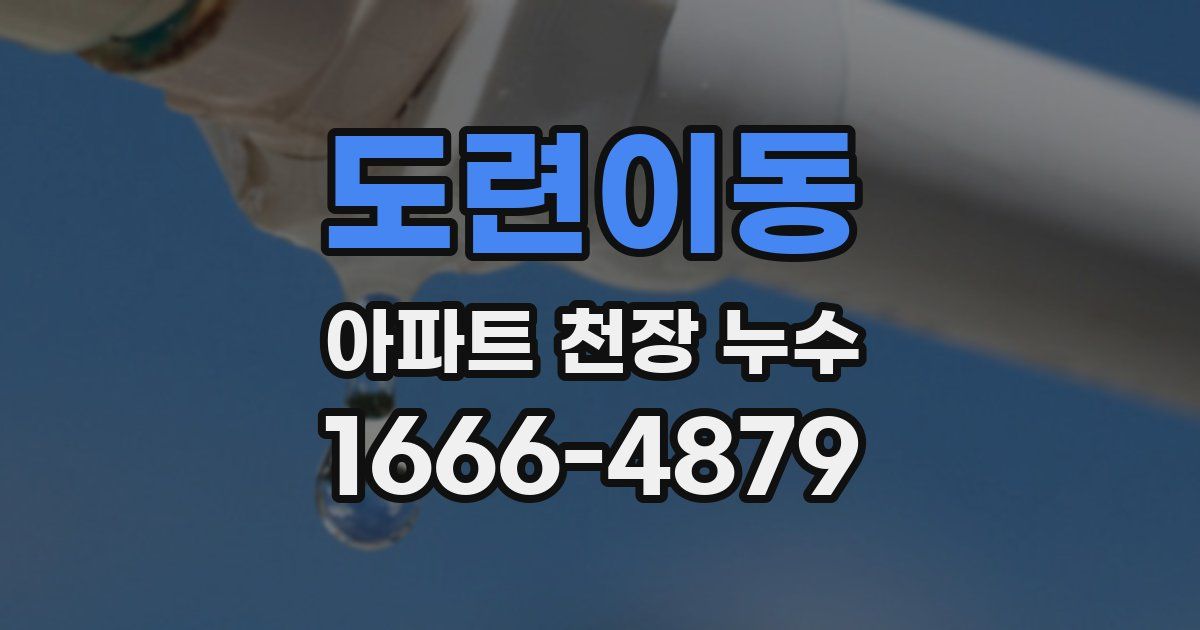 도련이동 아파트 천장 누수