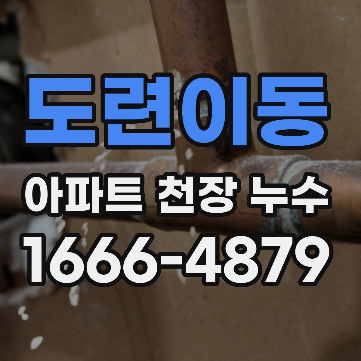 도련이동 아파트 천장 누수