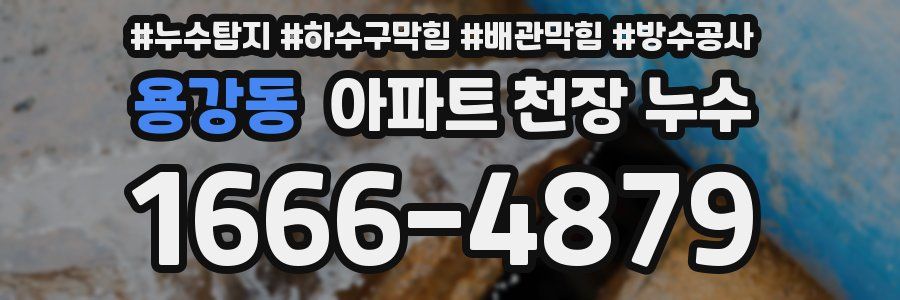 용강동 아파트 천장 누수