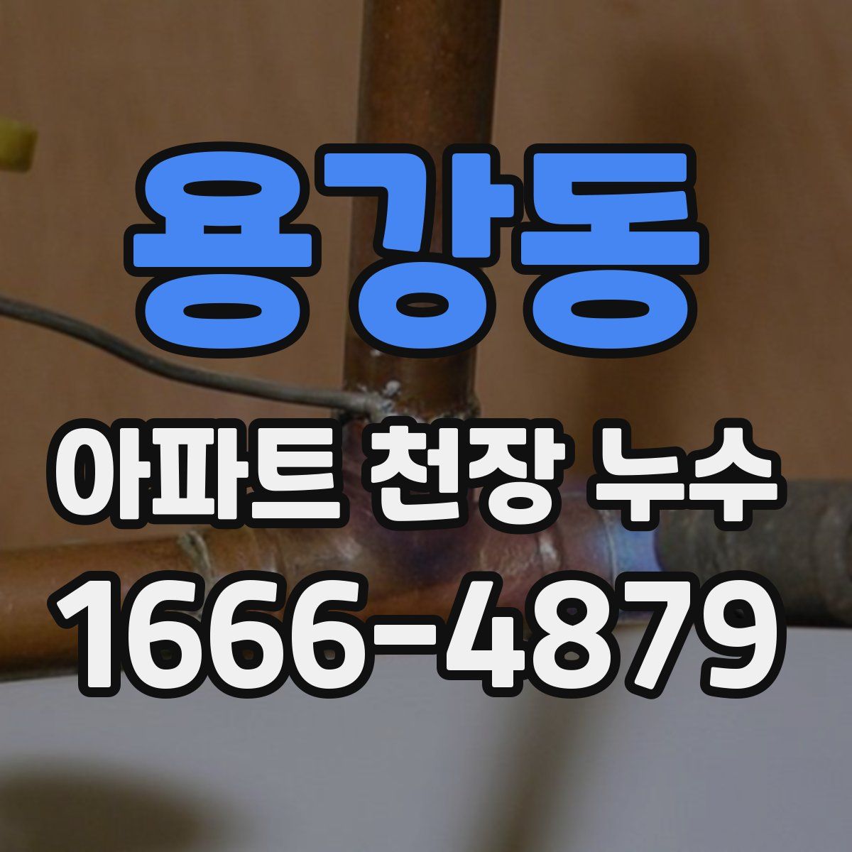 용강동 아파트 천장 누수