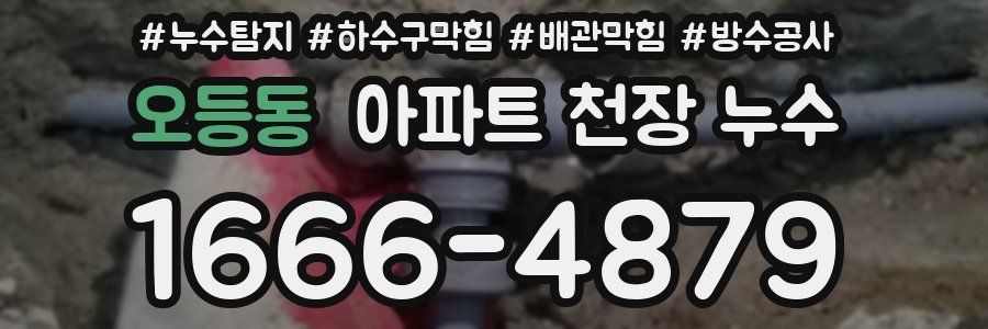 오등동 아파트 천장 누수