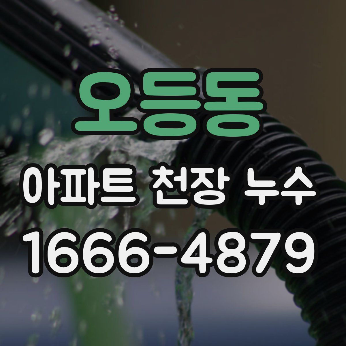 오등동 아파트 천장 누수