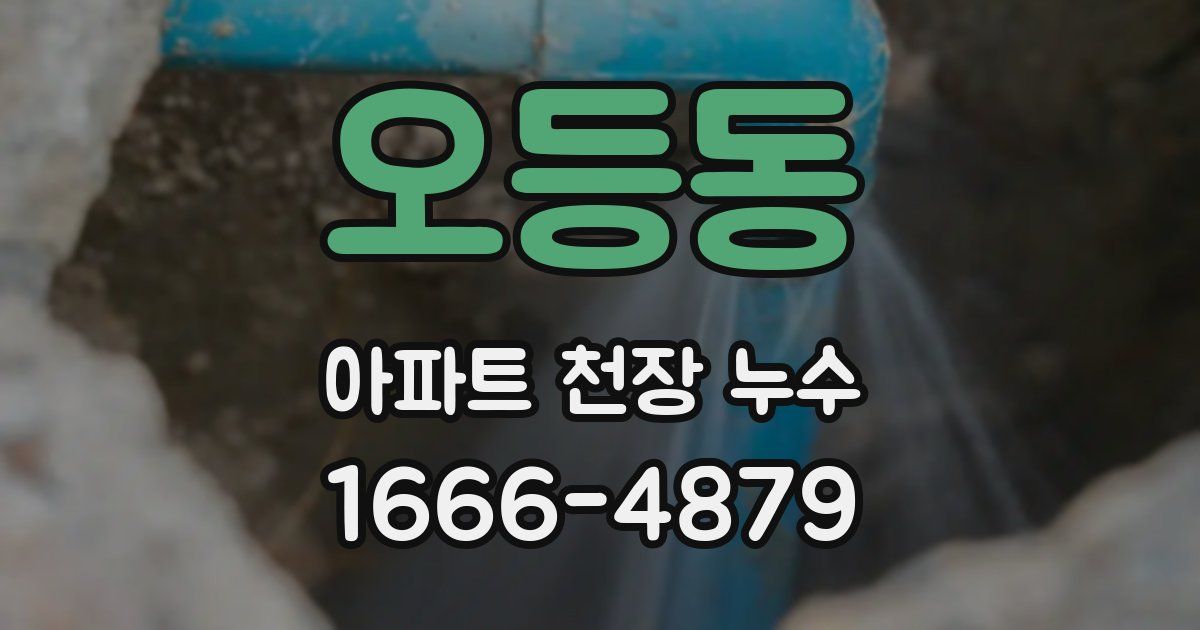 오등동 아파트 천장 누수