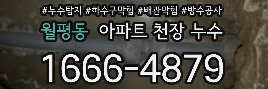 월평동 아파트 천장 누수