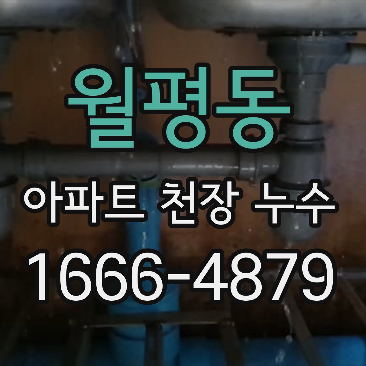 월평동 아파트 천장 누수