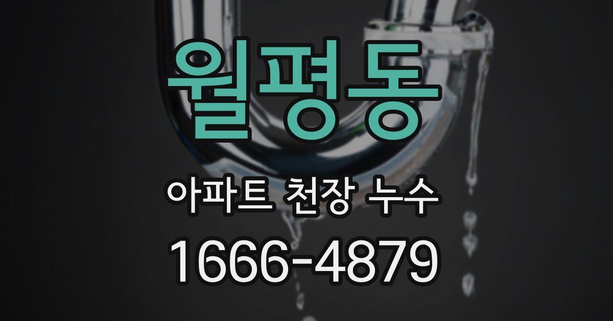 월평동 아파트 천장 누수