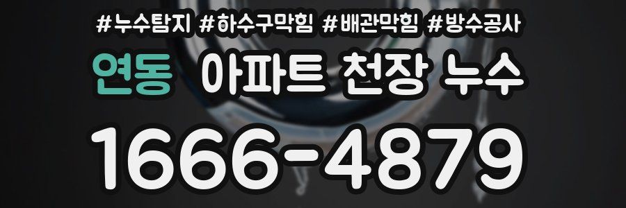 연동 아파트 천장 누수