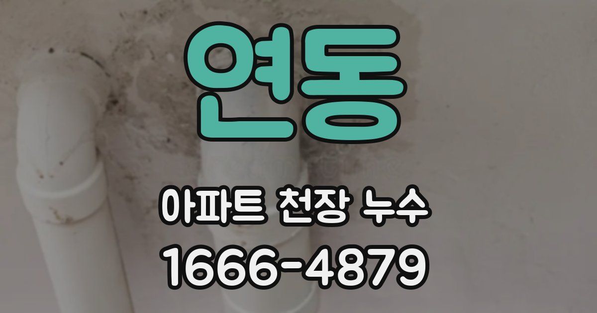 연동 아파트 천장 누수
