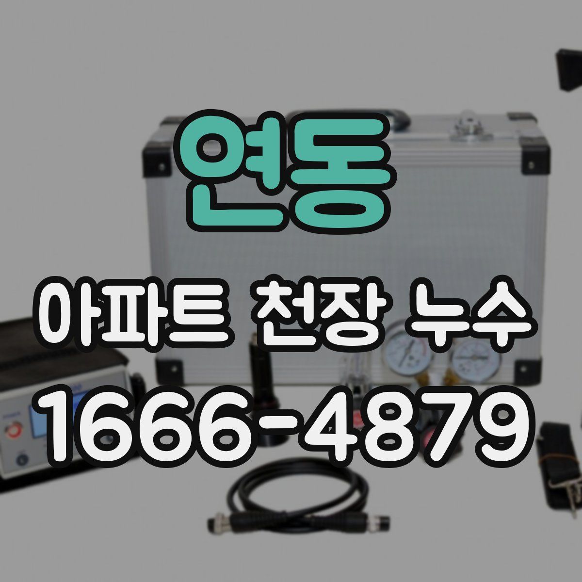 연동 아파트 천장 누수