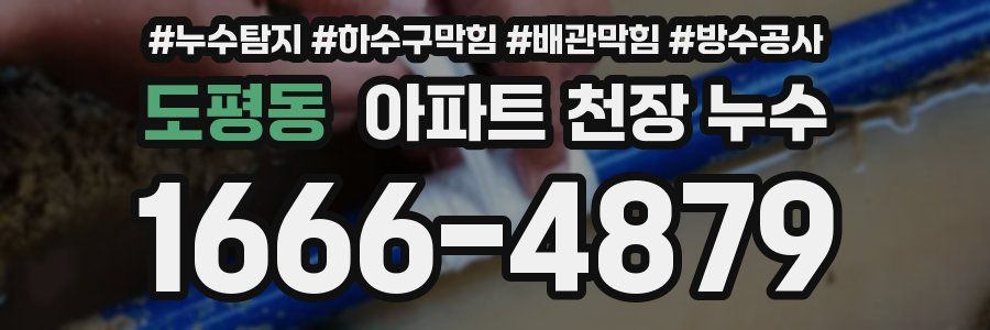 도평동 아파트 천장 누수