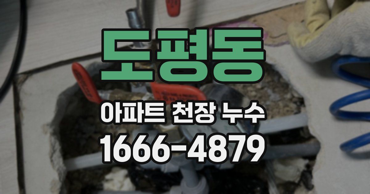 도평동 아파트 천장 누수