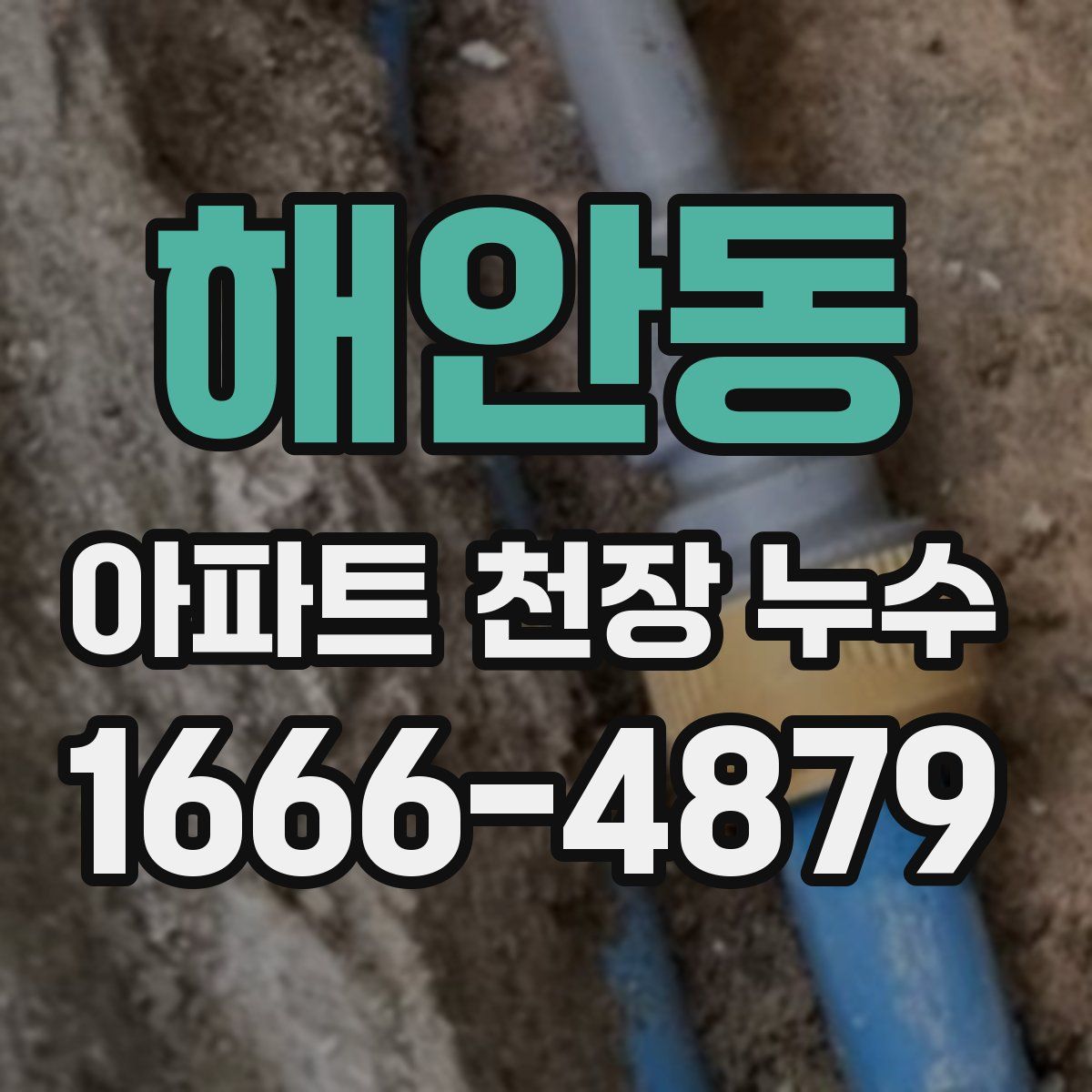 해안동 아파트 천장 누수