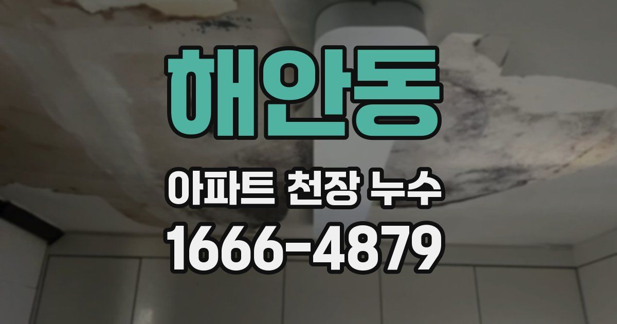 해안동 아파트 천장 누수