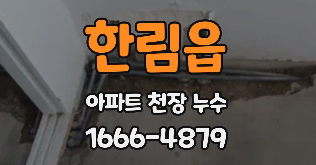 한림읍 아파트 천장 누수