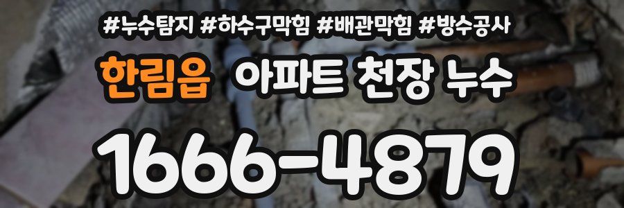 한림읍 아파트 천장 누수