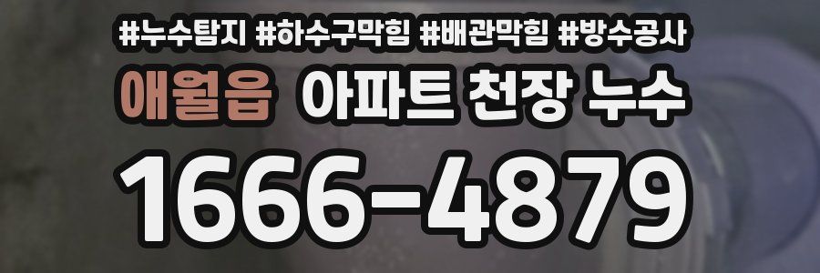 애월읍 아파트 천장 누수