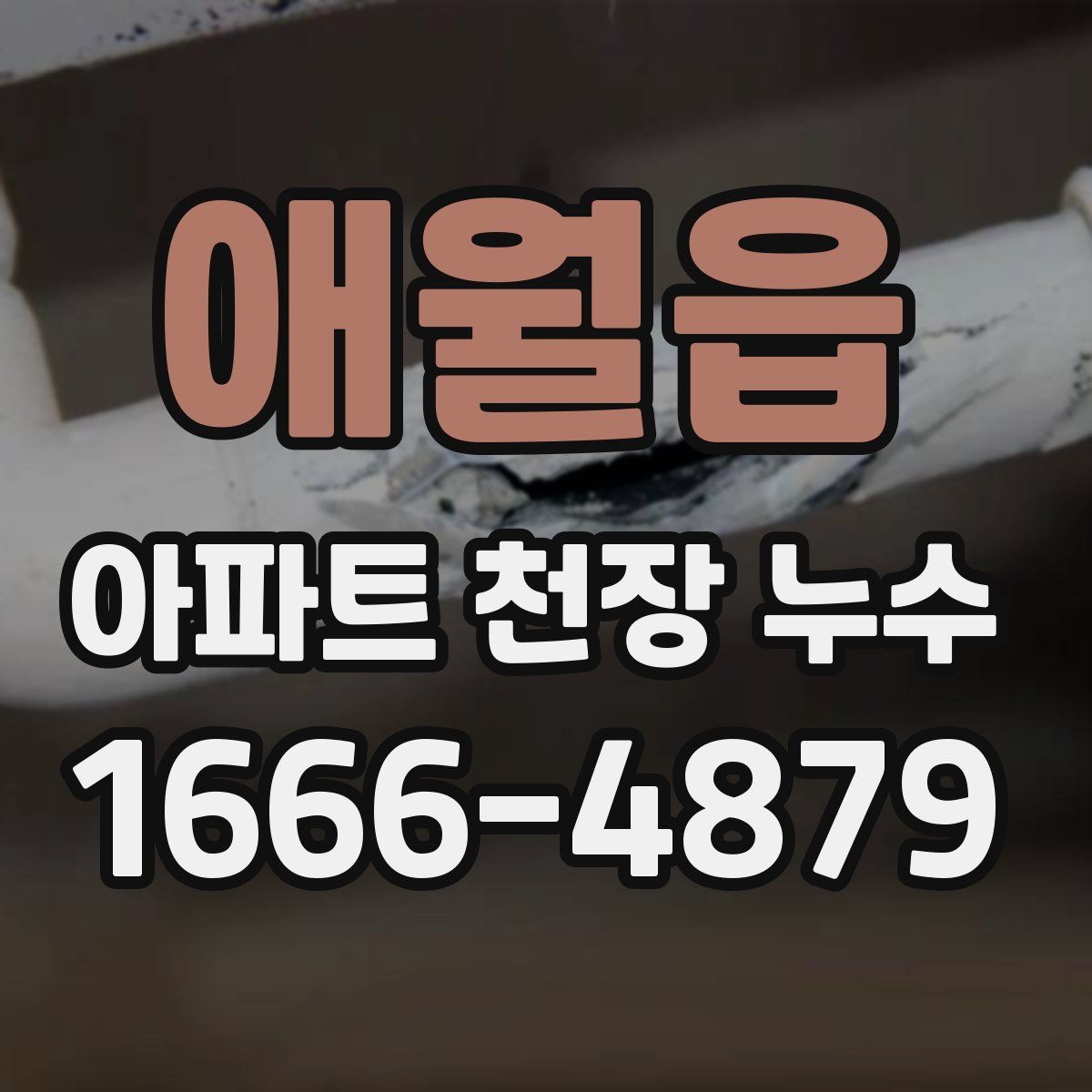 애월읍 아파트 천장 누수