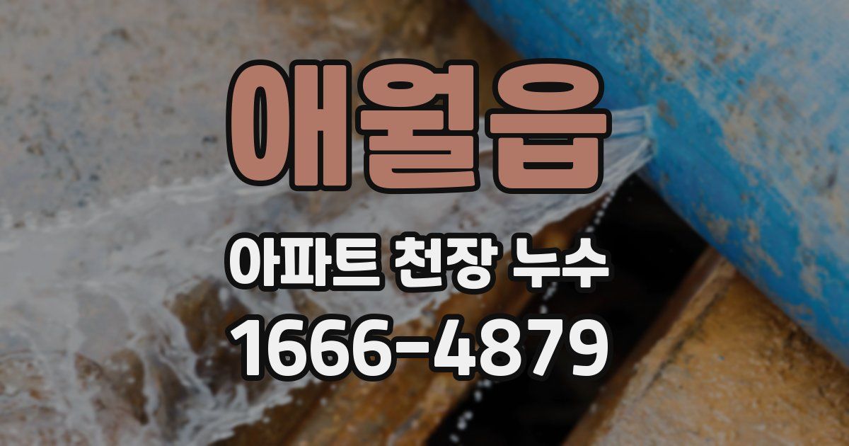 애월읍 아파트 천장 누수