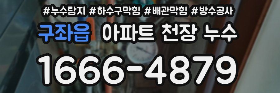 구좌읍 아파트 천장 누수