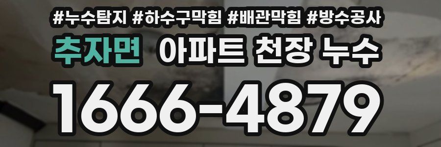 추자면 아파트 천장 누수