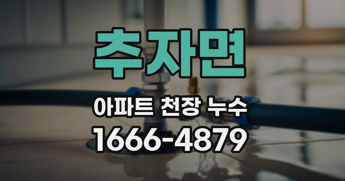 추자면 아파트 천장 누수