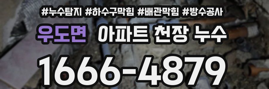 우도면 아파트 천장 누수