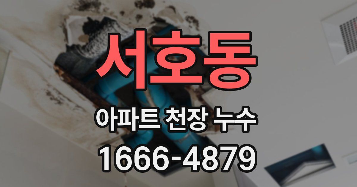 서호동 아파트 천장 누수