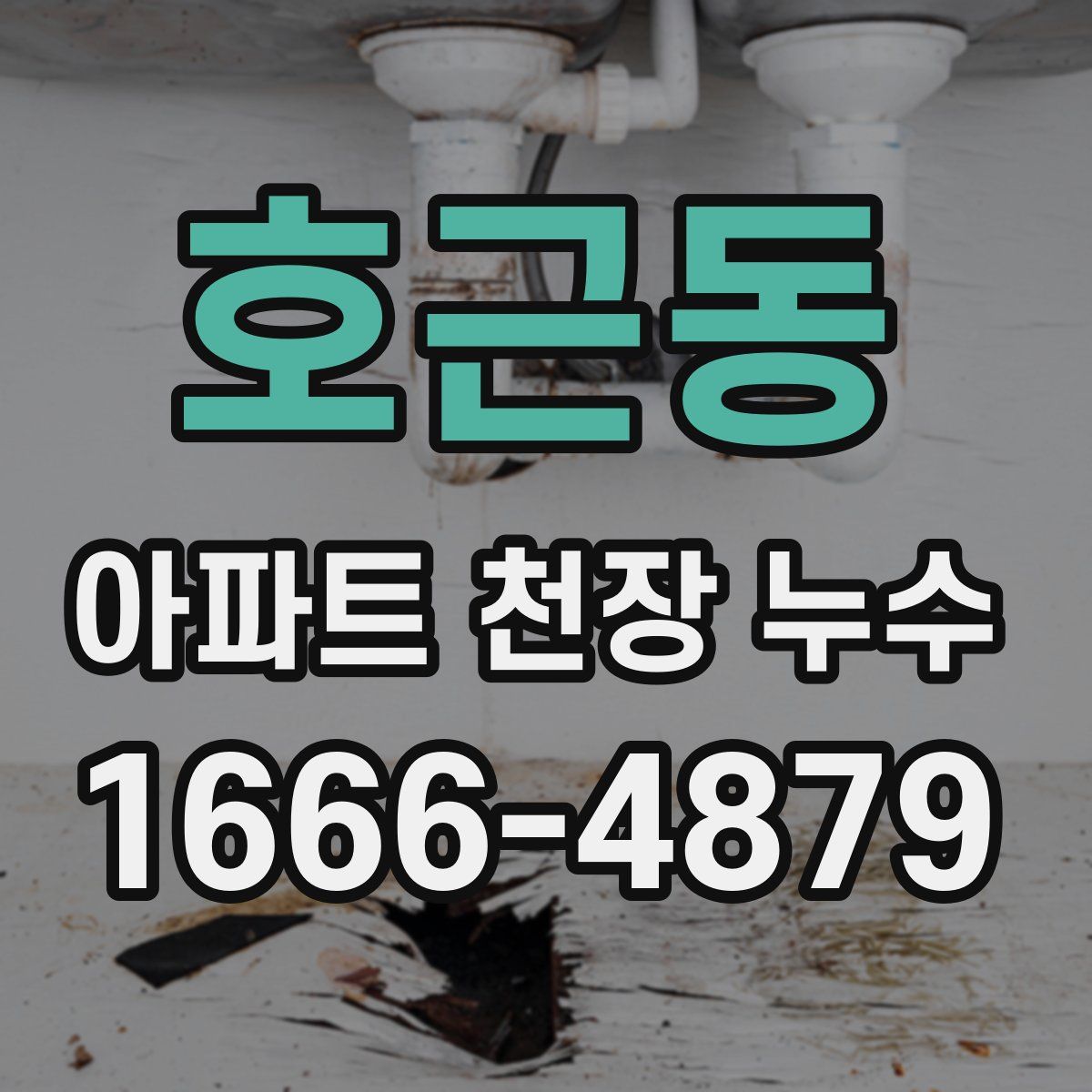호근동 아파트 천장 누수