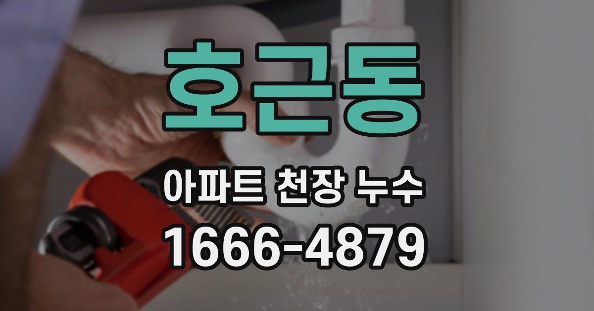 호근동 아파트 천장 누수