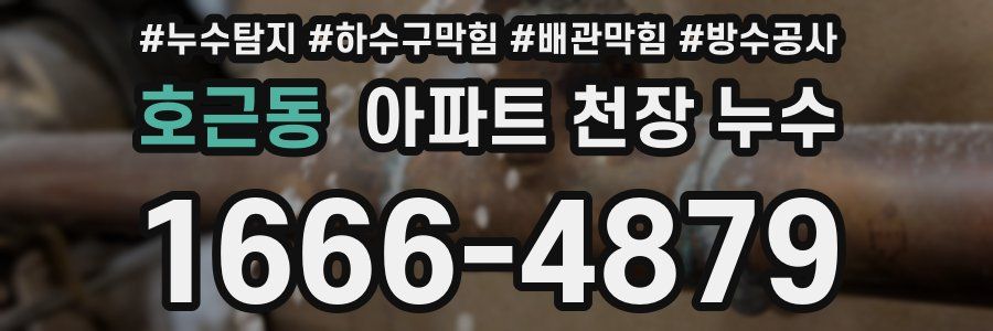 호근동 아파트 천장 누수