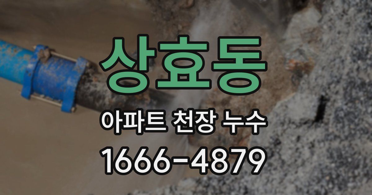 상효동 아파트 천장 누수
