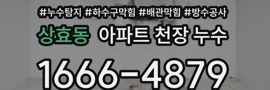 상효동 아파트 천장 누수