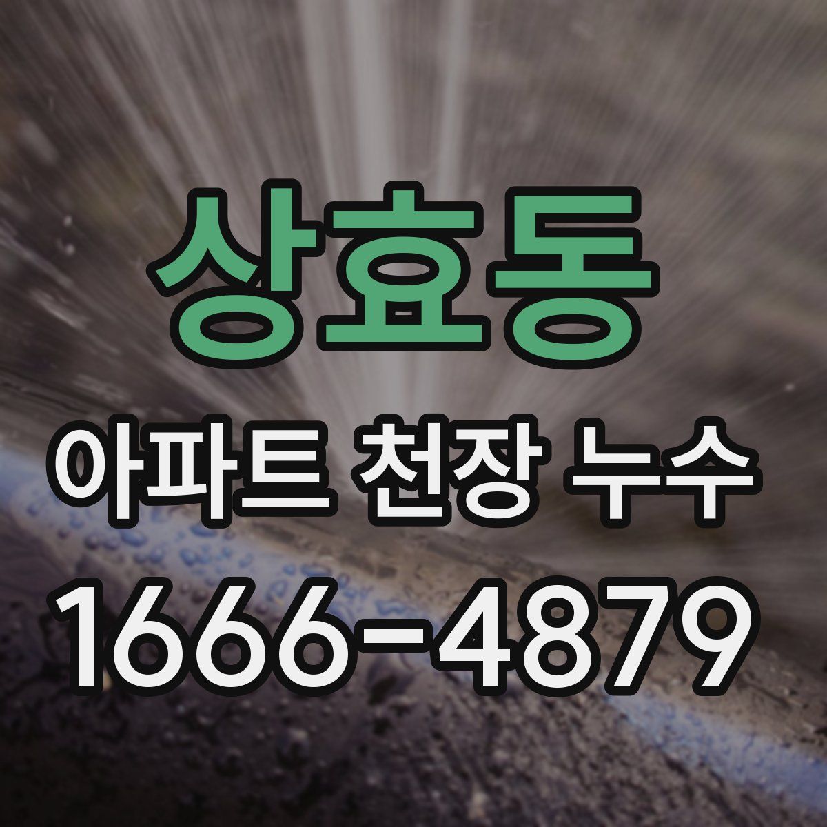 상효동 아파트 천장 누수