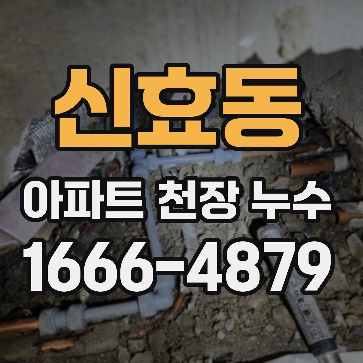신효동 아파트 천장 누수