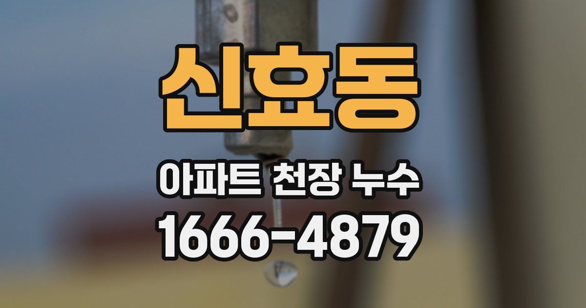 신효동 아파트 천장 누수