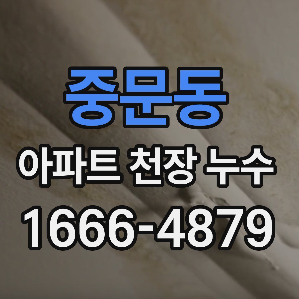중문동 아파트 천장 누수