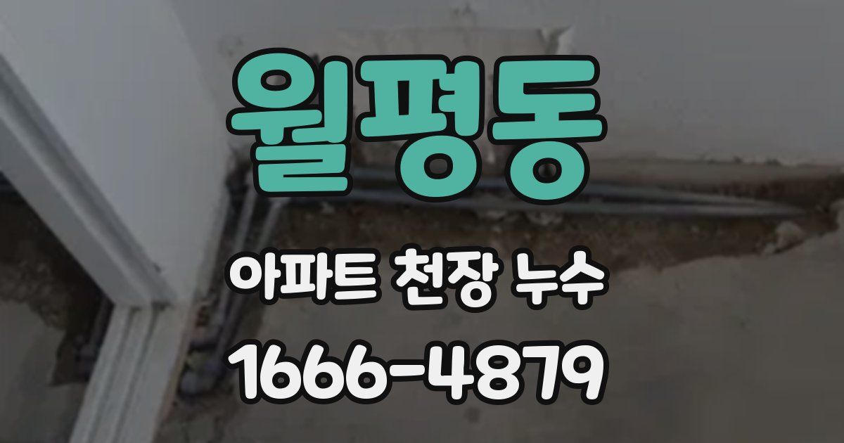 월평동 아파트 천장 누수