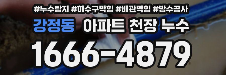 강정동 아파트 천장 누수
