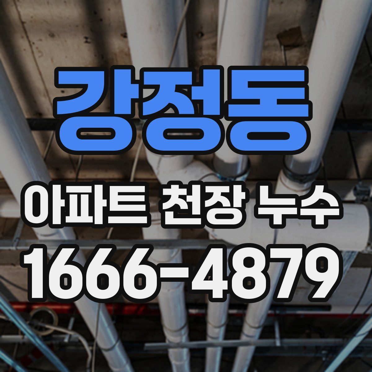 강정동 아파트 천장 누수