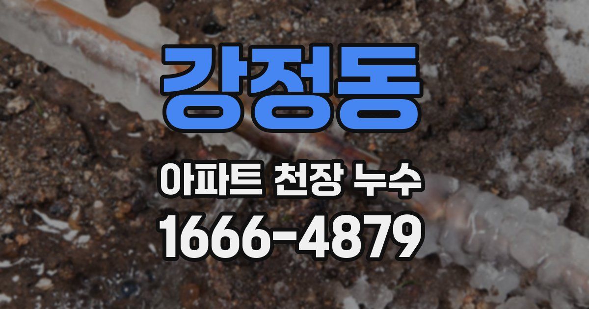 강정동 아파트 천장 누수