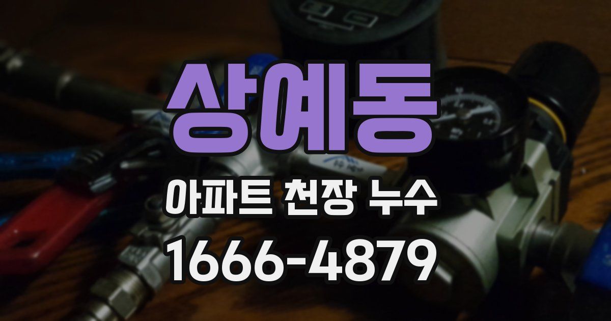 상예동 아파트 천장 누수